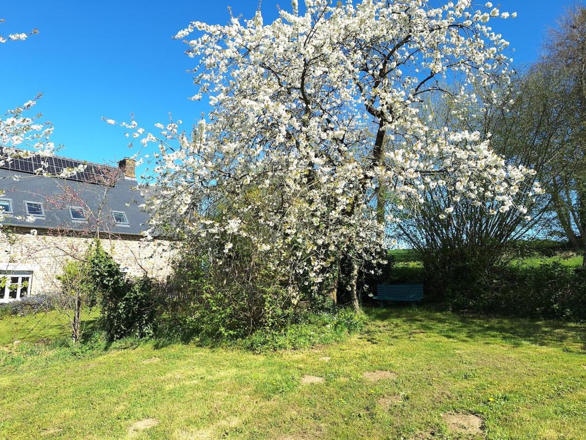 Au Lutin Pomme - Maison De Vacances Bretagne Mellé 외부 사진